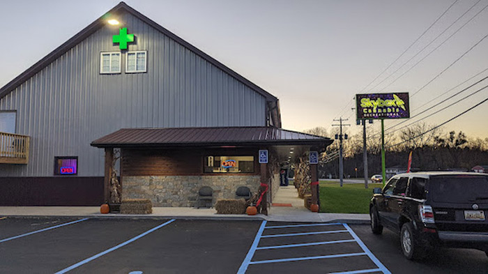 Skybox Cannabis Michigan Center