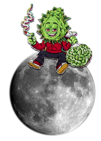 Nugget Man vibing on the Moon